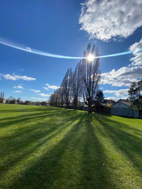 Scenic view of grassy field against sky