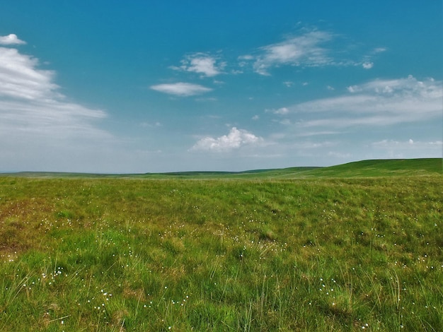 Foto vista panoramica di un campo erboso contro il cielo