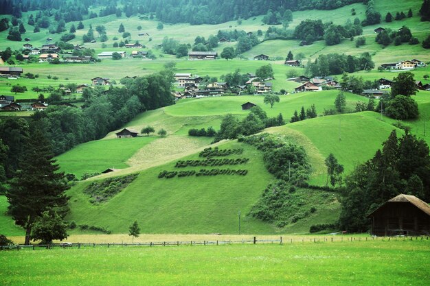 Scenic view of grassy field against sky