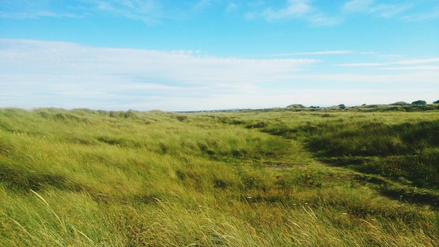 Photo scenic view of grassy field against sky