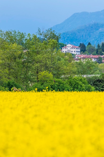 Scenic view of grassy field against sky