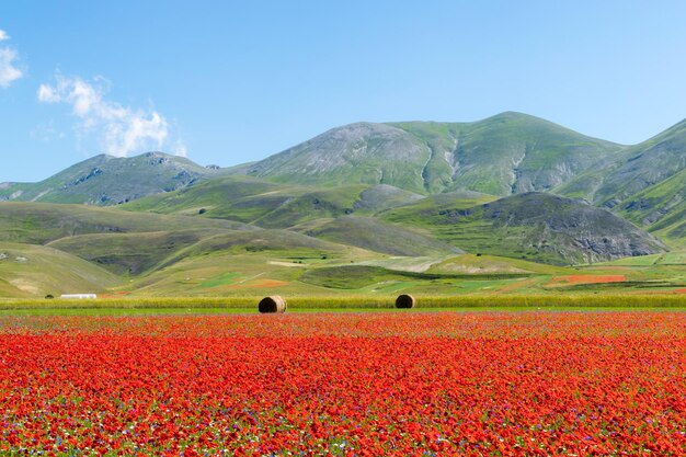 Photo scenic view of grassy field against sky