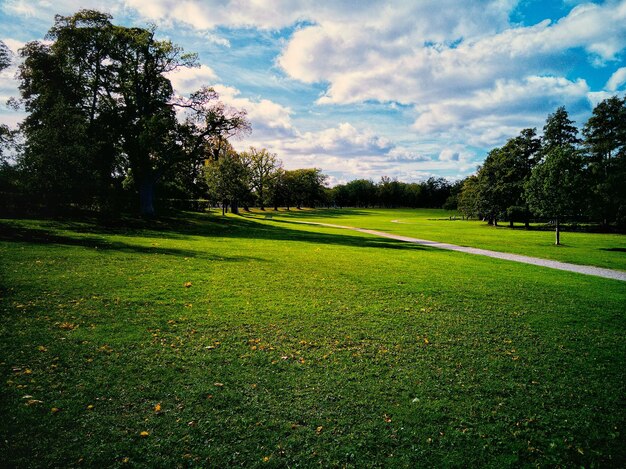 Photo scenic view of grassy field against sky