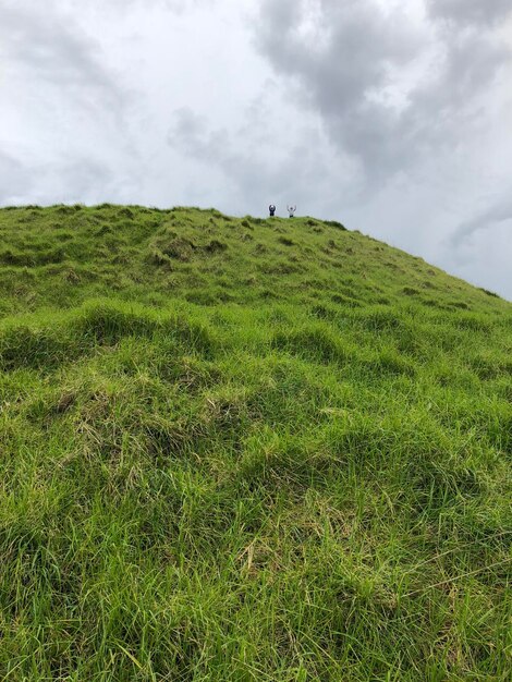 Photo scenic view of grassy field against sky