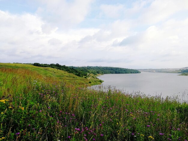 Scenic view of grassy field against sky