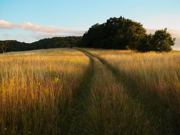 Photo scenic view of grassy field against sky