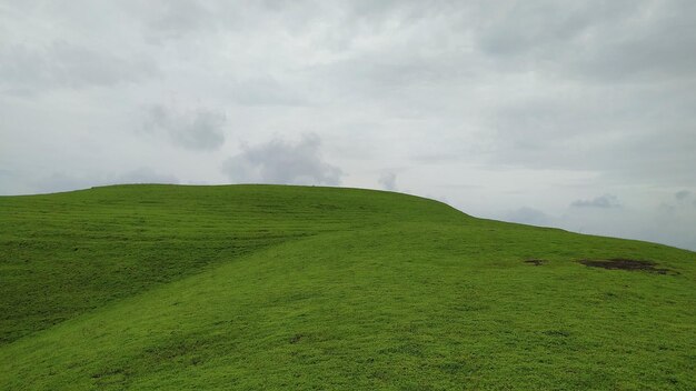 空に照らされた草原の景色