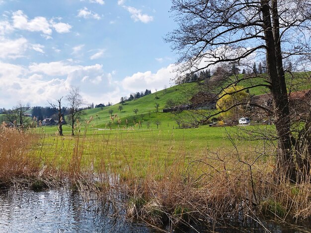 Scenic view of grassy field against sky