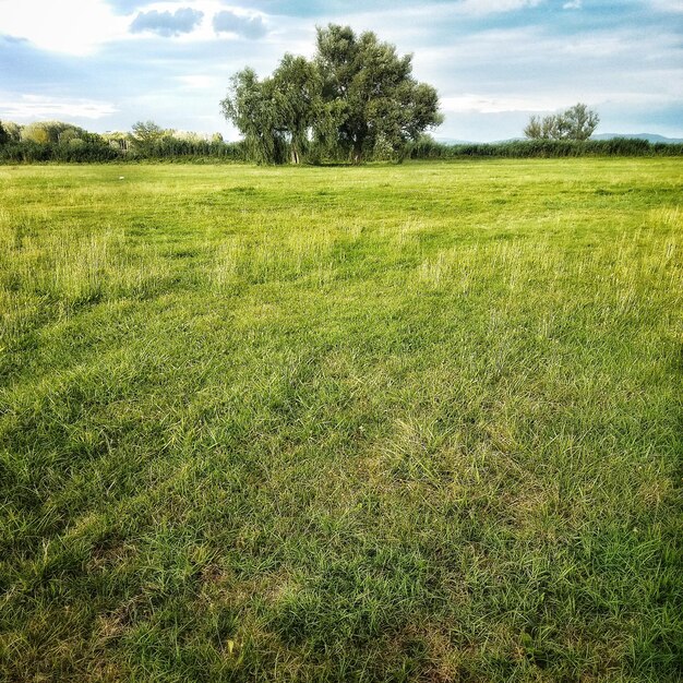 Photo scenic view of grassy field against sky