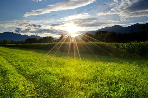 Scenic view of grassy field against sky