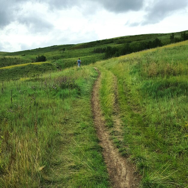 Scenic view of grassy field against sky