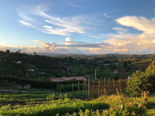 Foto vista panoramica di un campo erboso contro il cielo