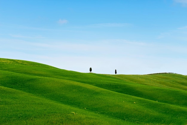 Photo scenic view of grassy field against sky