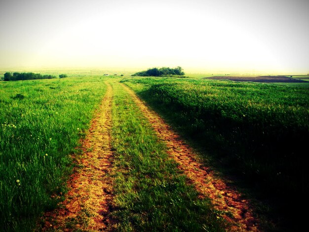 Foto vista panoramica di un campo erboso contro il cielo