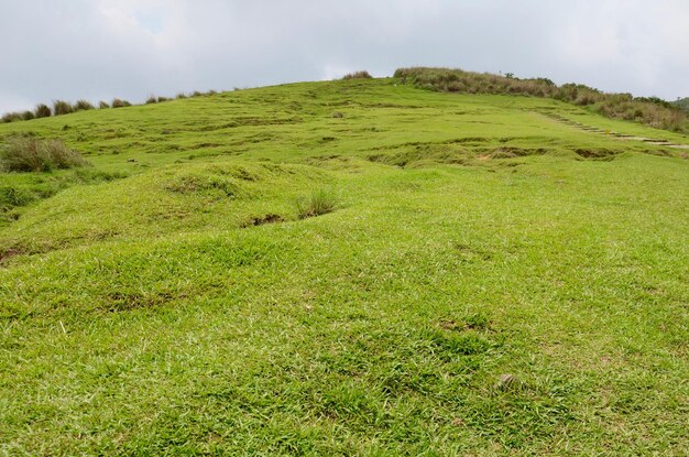 Foto vista panoramica di un campo erboso contro il cielo