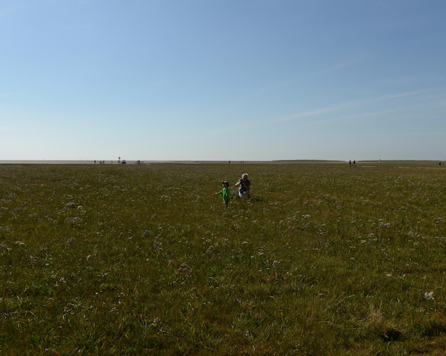 Scenic view of grassy field against sky