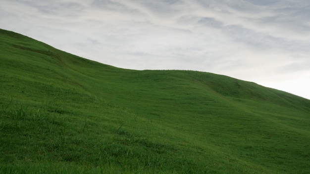 Vista panoramica del campo erboso contro sky