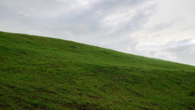 Scenic View Of Grassy Field Against Sky