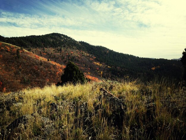 Photo scenic view of grassy field by mountain against sky