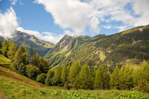 空の背景にある草原と山の景色