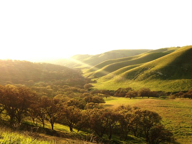 Foto la vista panoramica di un campo erboso