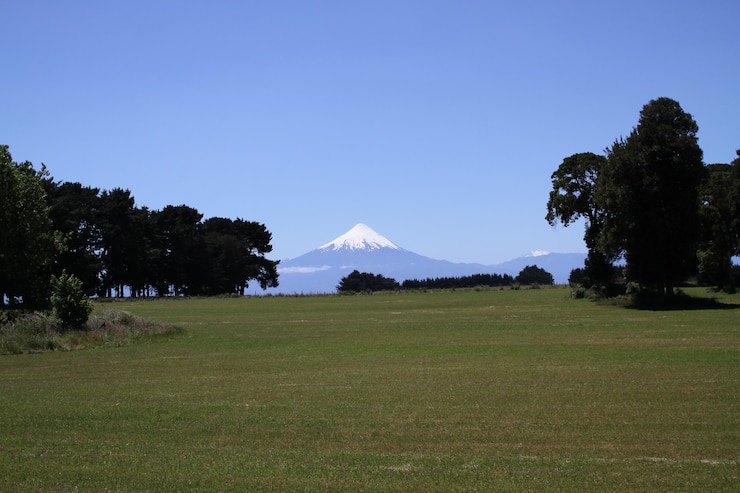 Photo 晴れた空を背景にした草原の景色