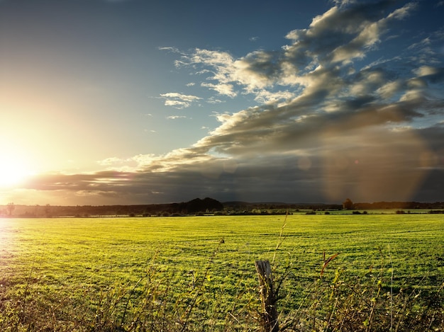 Foto vista panoramica di un paesaggio erboso contro un cielo nuvoloso al tramonto