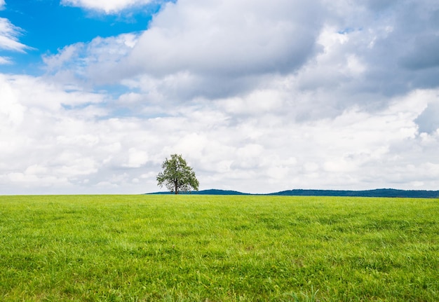 Scenic view of grassy landscape against cloudy sky