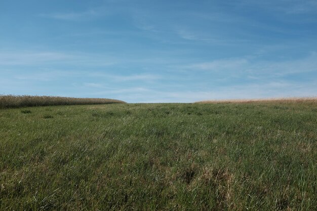 Photo scenic view of grassy landscape against sky