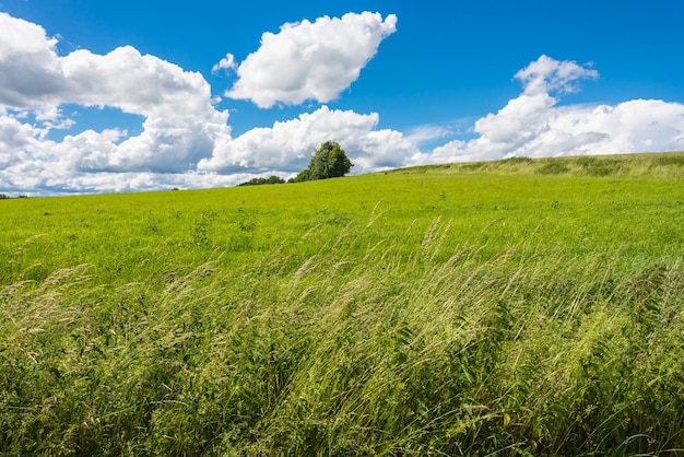 Photo scenic view of grassy landscape against sky