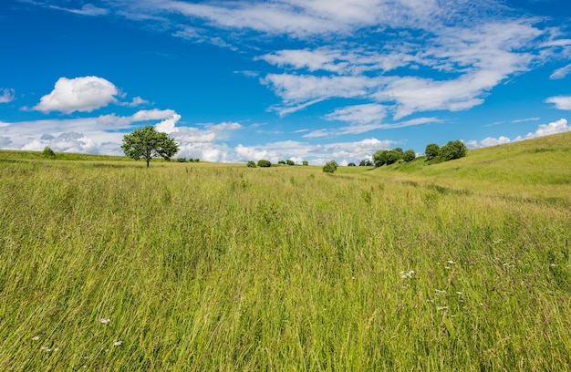 Foto vista panoramica del paesaggio erboso contro il cielo