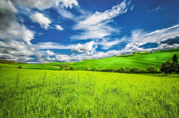 Scenic view of grassy landscape against sky