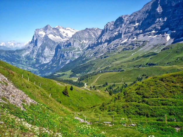 Scenic view of grassy landscape