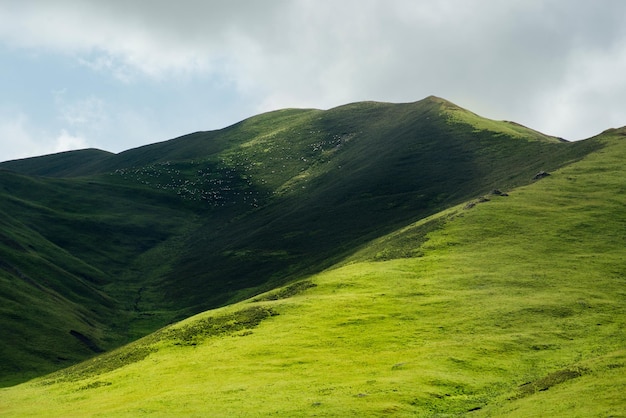 草 の 茂っ た 山 の 景色