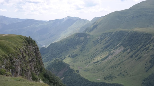 草 の 茂っ た 山 の 景色
