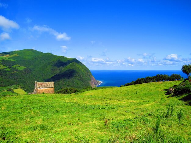 Scenic view of green field by sea against blue sky