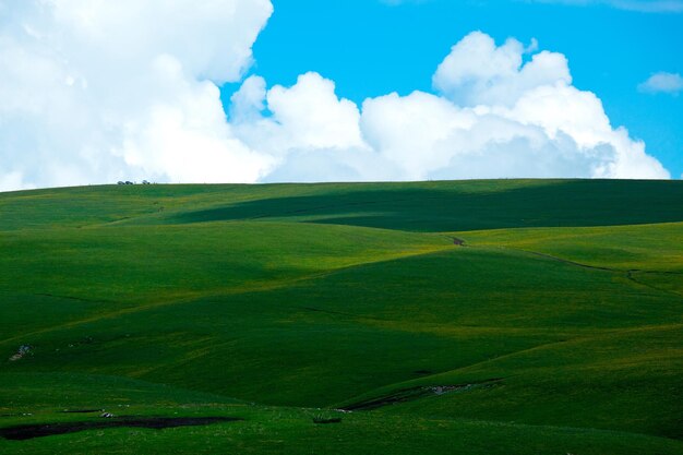 Photo scenic view of green hills against cloudy sky