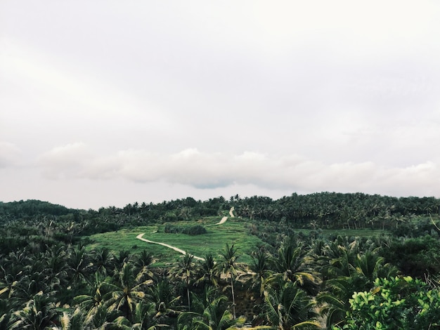 Scenic view of green landscape against cloudy sky
