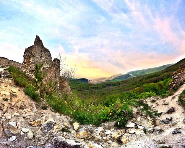 Foto vista panoramica del paesaggio verde contro un cielo nuvoloso