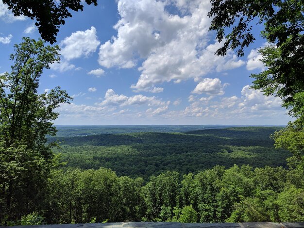 Foto vista panoramica di un paesaggio verde contro un cielo nuvoloso