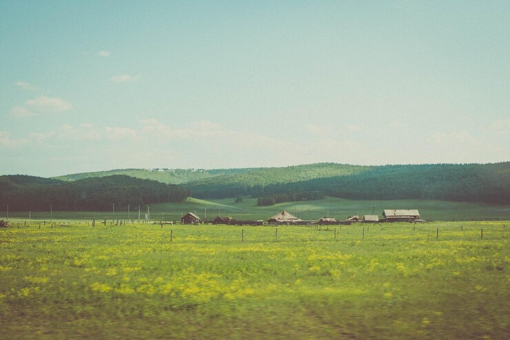 Photo scenic view of green landscape against sky