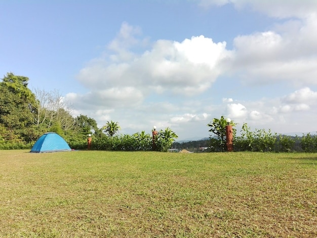 Scenic view of green landscape against sky