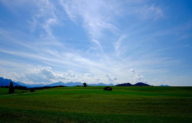 天空を背景にした緑の風景の景色