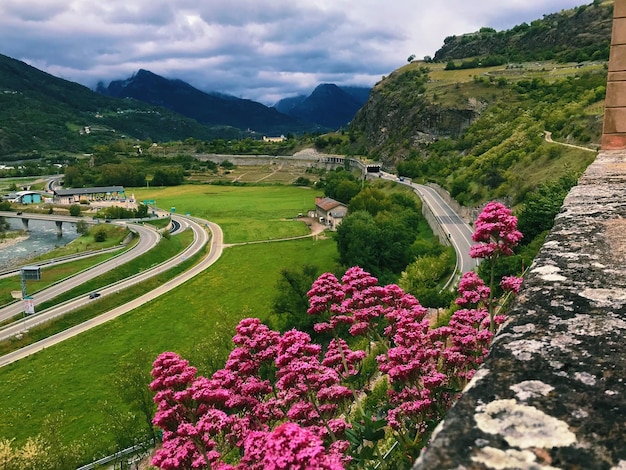 Scenic view of green landscape against sky