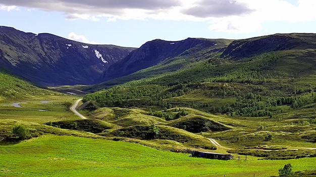 Scenic view of green landscape against sky