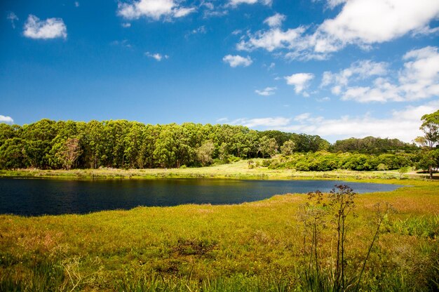 Scenic view of green landscape and lake against sky