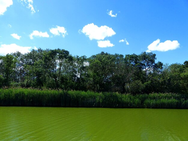 Scenic view of green landscape and lake