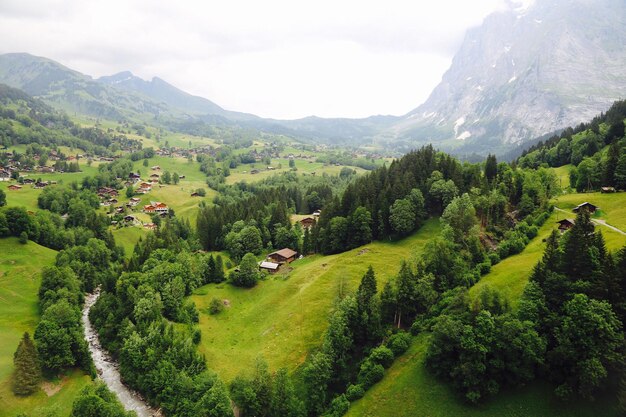 Scenic view of green landscape and mountains against sky