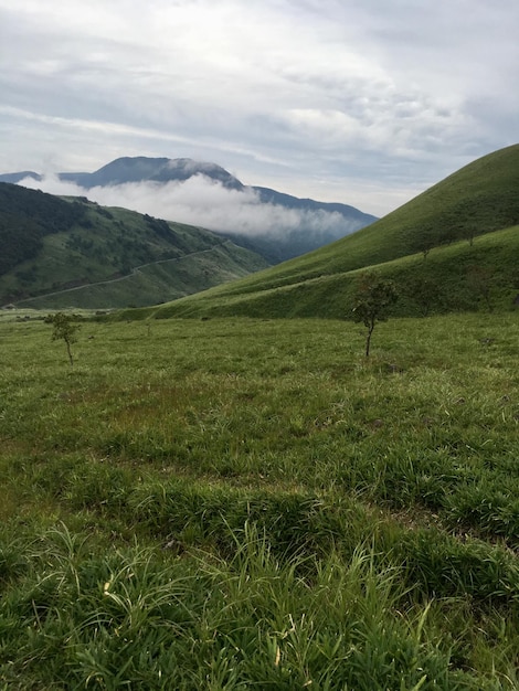 Foto vista panoramica del paesaggio verde e delle montagne