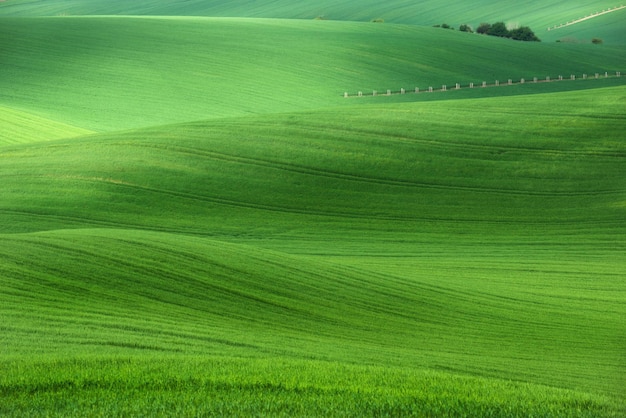 Красивый вид на зеленый ландшафт